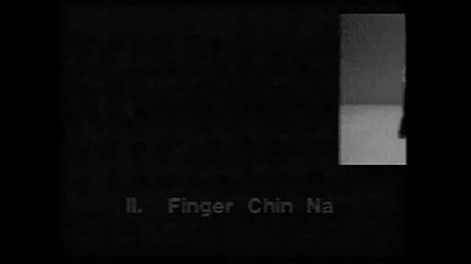 Shaolin Chin Na - Начало