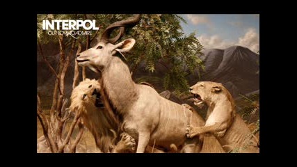 Nterpol - Pioneer To The Falls