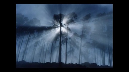 Shape of Despair - Sleep Mirrored