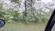 Градушка и проливен дъжд се изляха над Великотърновско
