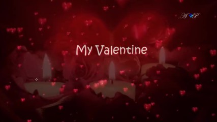 Happy Valentine's Day