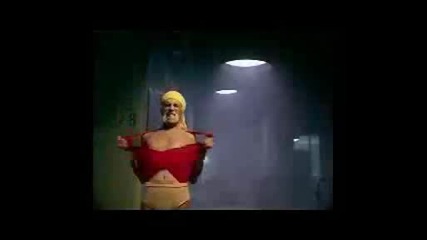 Hulk Hogans Arbys Commercial