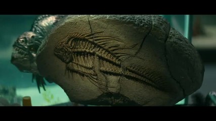 Piranha 3d - Official Trailer [hd]
