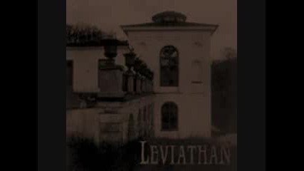 Leviathan - Far beyond the light