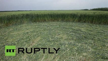 Дрон снима мистериозни кръгове в пшеничена нива в Република Адигея