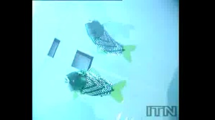 Не виждано до сега!!!(риба робот)