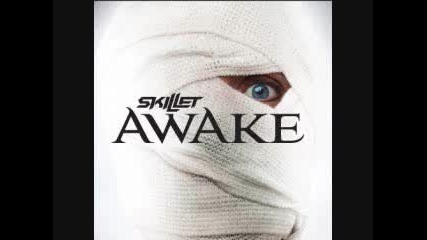 Skillet - Should we When You Could we 