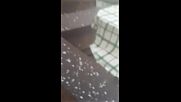 Летни бури в някои части на страната