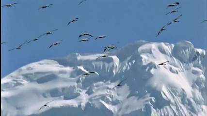 2012 - Паркур и Фриирън