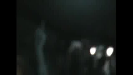 в автобуса