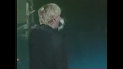 Def Leppard Women Live Tokyo Dome 1999 
