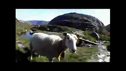 Base Jumping In Norway