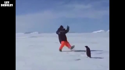 Смешни Животни :)