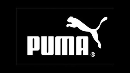 dj puma - house mix