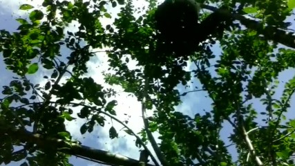 тръвната пак се отчете
