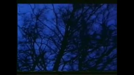 M8l8th - Где Ветви Опавшей Листвой 
