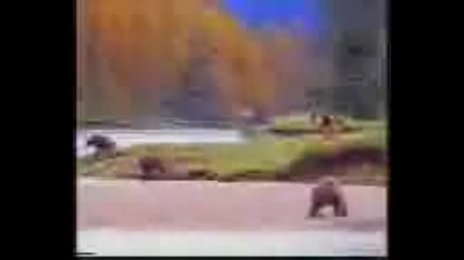 Бой с мечка - смях 