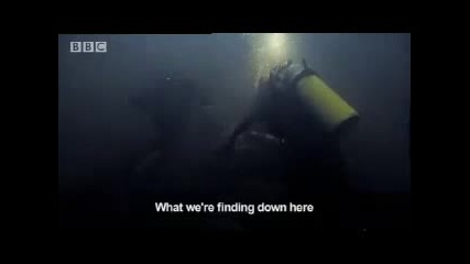 Endangered marine animals of the Amazon - Bbc wildlife 