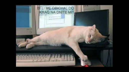 To Fall In Love Againe .wmv