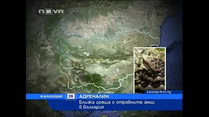 Най-отровните змий в България