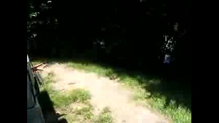 Най Бързата костенурка в света - Удивително 