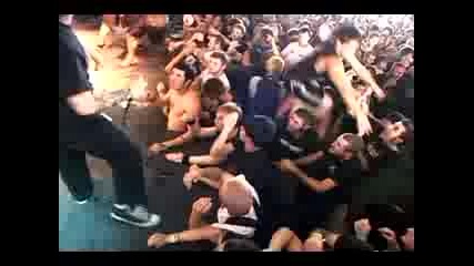 Teach You How To Mosh Pit And Stage Dive