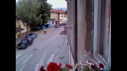 Как сигани берат липа!