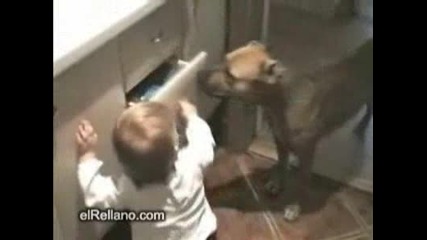 Спор Между Куче И Бебе