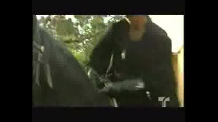 Zorro - Youre My Hero