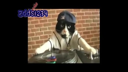 Dj Писанчо ! Смях ! 