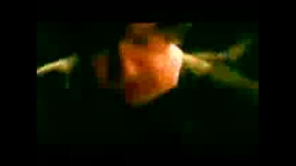 Candiria - Blood