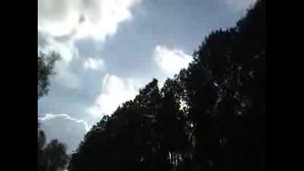 The Forest
