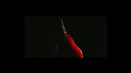 Deep Sea : Невероятни Морски Създания