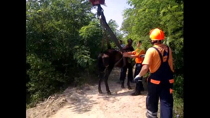 Видео0020.3gp