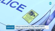 Премиерът ще открие кръгла маса срещу насилието над животни