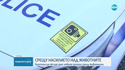 Премиерът ще открие кръгла маса срещу насилието над животни