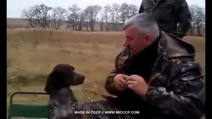 Гледайте на какво могат да научат Руснаците едно ловджийско куче!