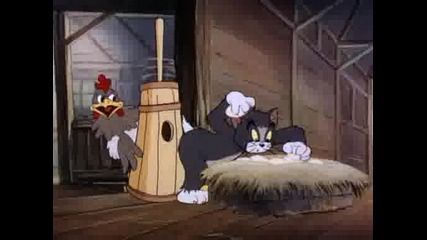 Tom & Jerry - Fine Feathered Friend