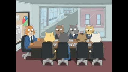 Cat Staff Meeting.