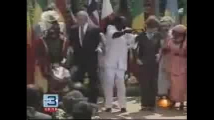 Bush Танцува