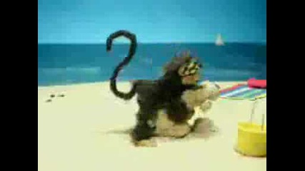 crazy monkey,  ludi maimuni