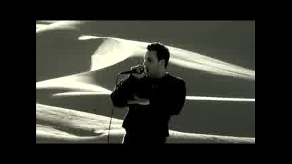 Timz - Iraq