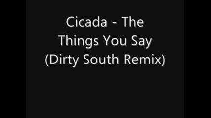 Cicada - The Things You Say (dirty South Remix)
