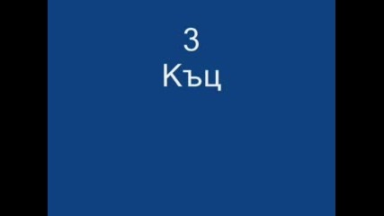Топ 5 На Най - Готините Водещи В Бг