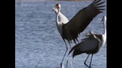 Air Supply feat Pantelix - Close your Eyes (pantelix Etidion) 