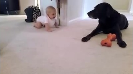 Бебе и куче