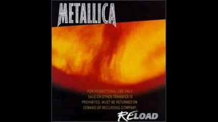 Metallica - Devils Dance