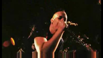 Better Left Unsaid - Testify.avi