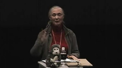 Непрекъснатата нишка на живота 