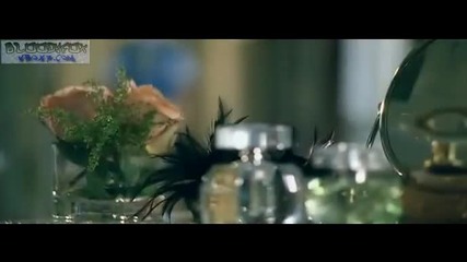 Britney Spears - Radar [hq]